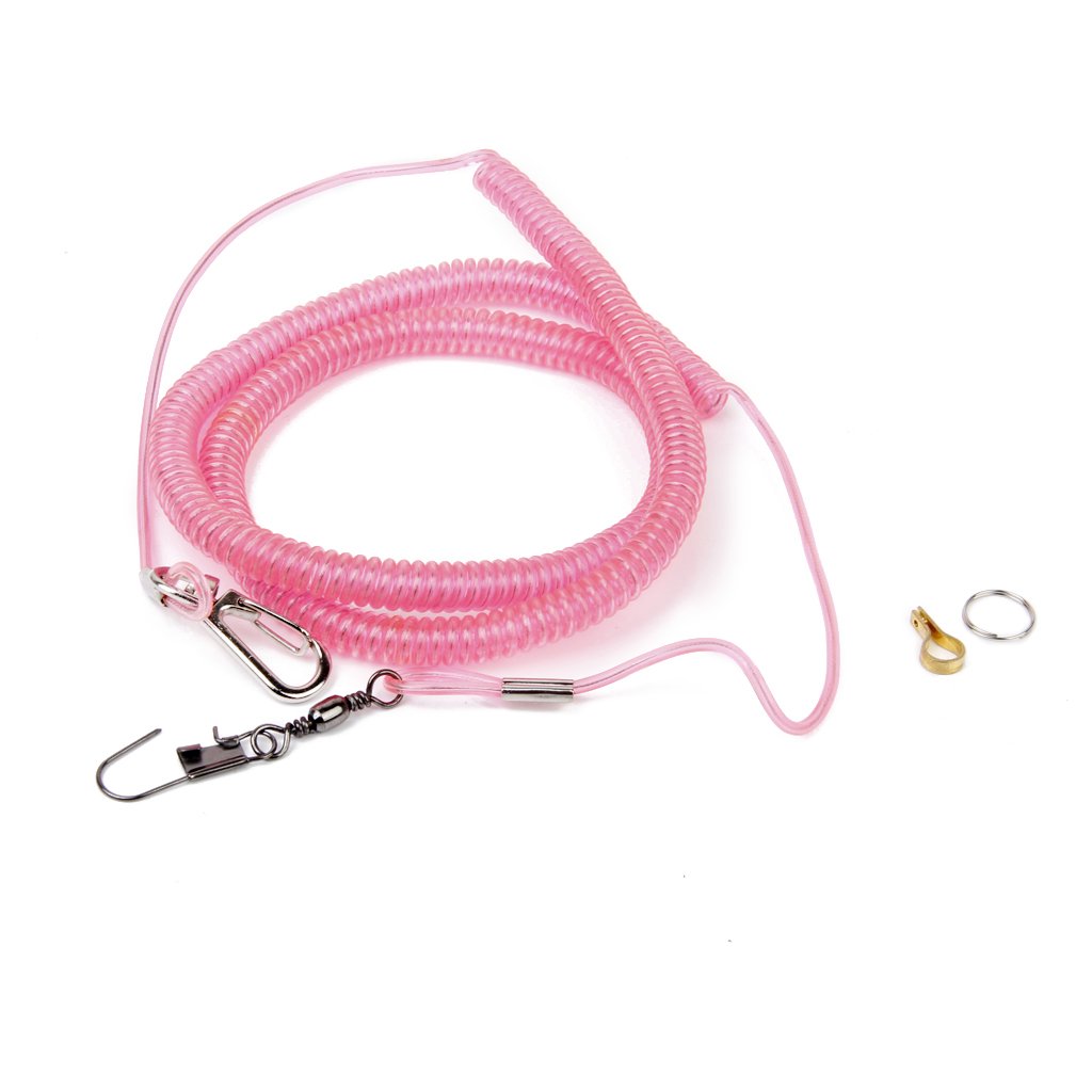 Imported Parrot Bird Leash Kits Anti-bite Flying Training Rope for Sun Parakeet Caiques - Random Color (B01D1YQTJM) Amazon Price History, Amazon Price Tracker