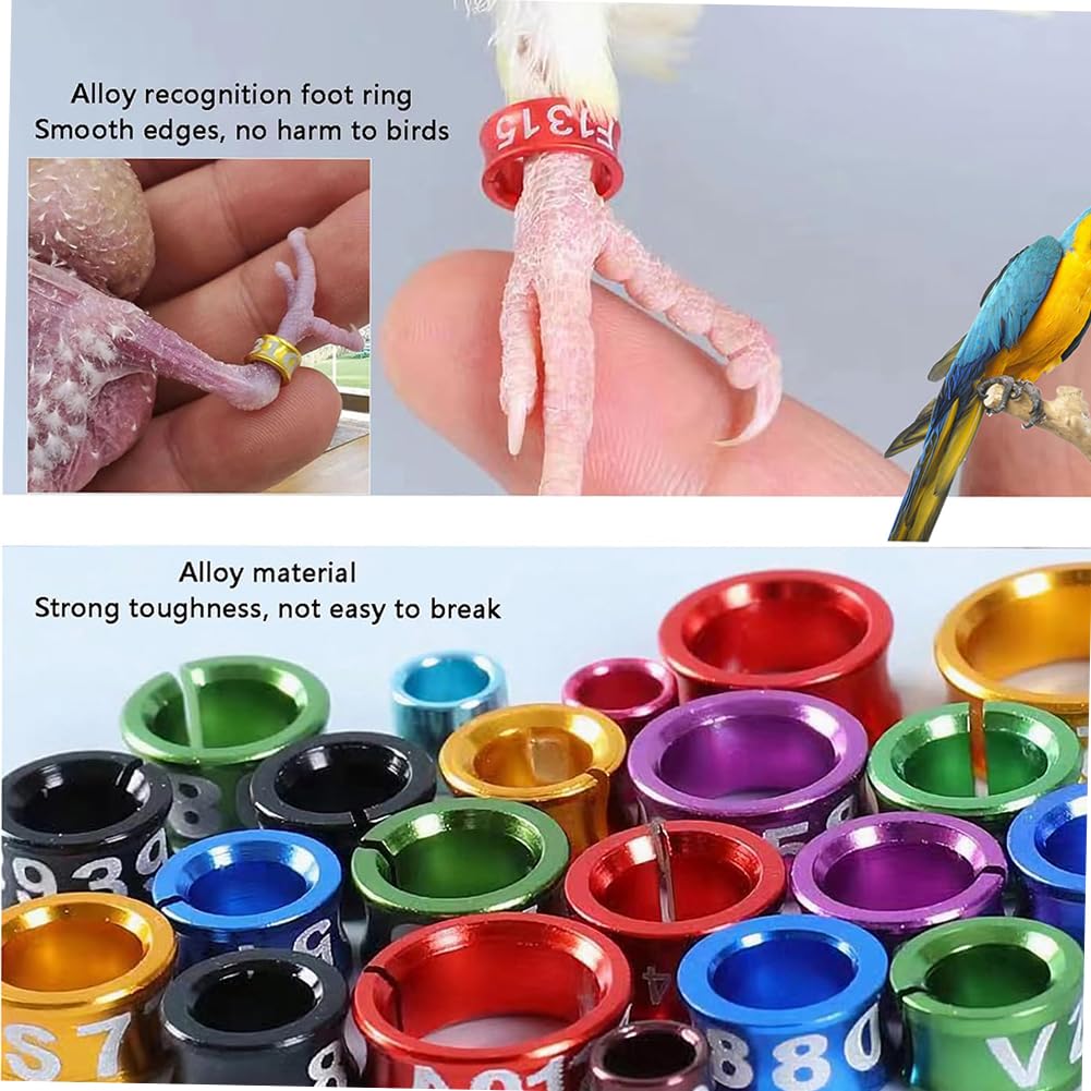 CARYZ Anillo de Paloma, cinturón para Pierna de pájaro, Anillo para pie, Anillo para Pierna, número Mixto Multicolor, cinturón con Clip para Pollito y Loro al Azar 200 Piezas Mixed colors7.0mm