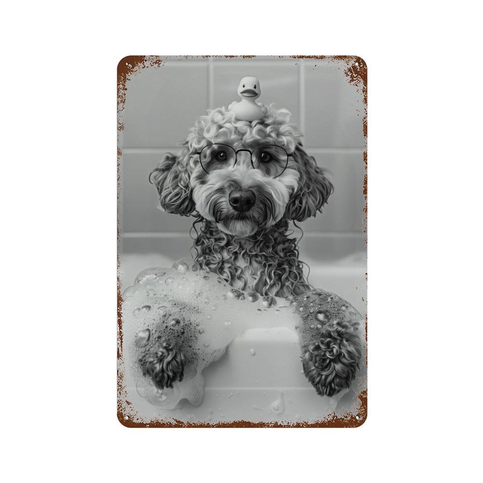 xiaoxiaoshen Labradoodle Bath Wall Art Wall Decor Art Metal Tin Poster Modern Home Decor Art Home Bar Shop Decorations Vintage Sign 30x20cm