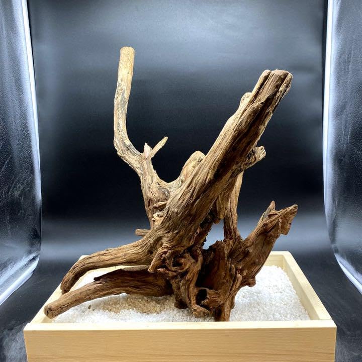 MRW-1307 特大天然流木