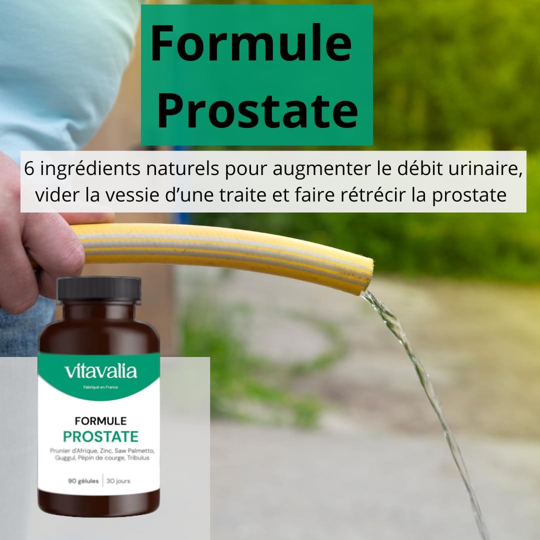 Formule Prostate - 90 gélules - Hautement dosée - Prunier d'Afrique + Saw Palmetto + Guggul + Pépin de courge + Tribulus + Zinc - Fabriqué en France