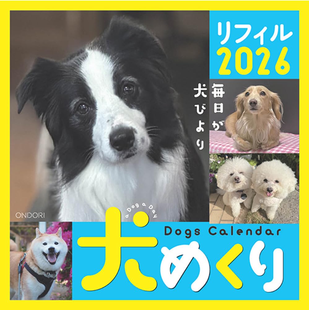 Amazon.co.jp: Dogs Calendar 犬めくり リフィル2026: 毎日が犬びより
