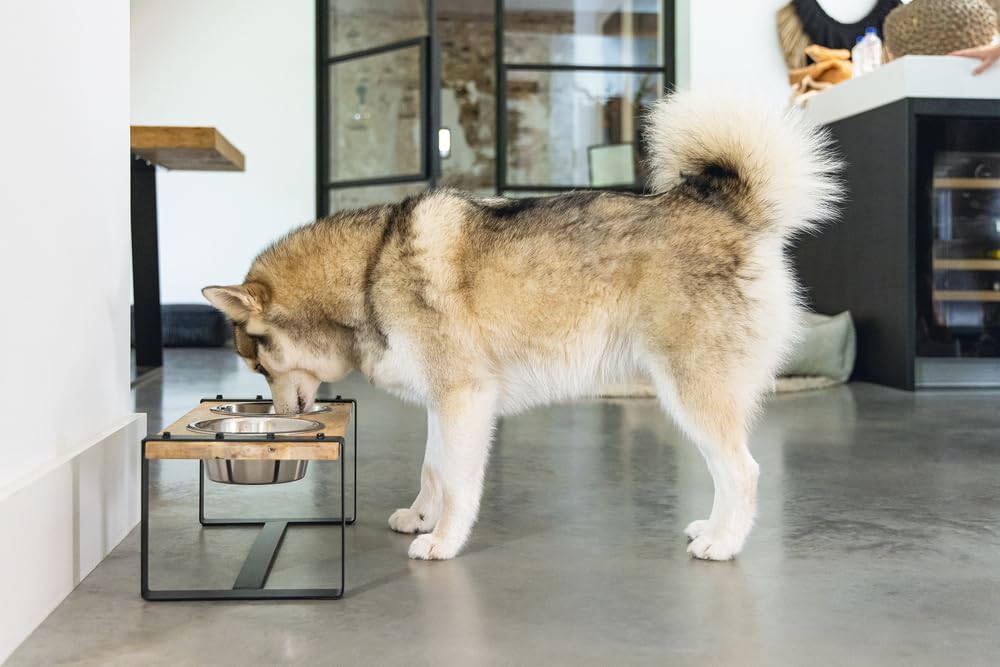 Designed by Lotte Karinto, Dinerset Hund, Holz/Metall, Inkl. 2 Napfen