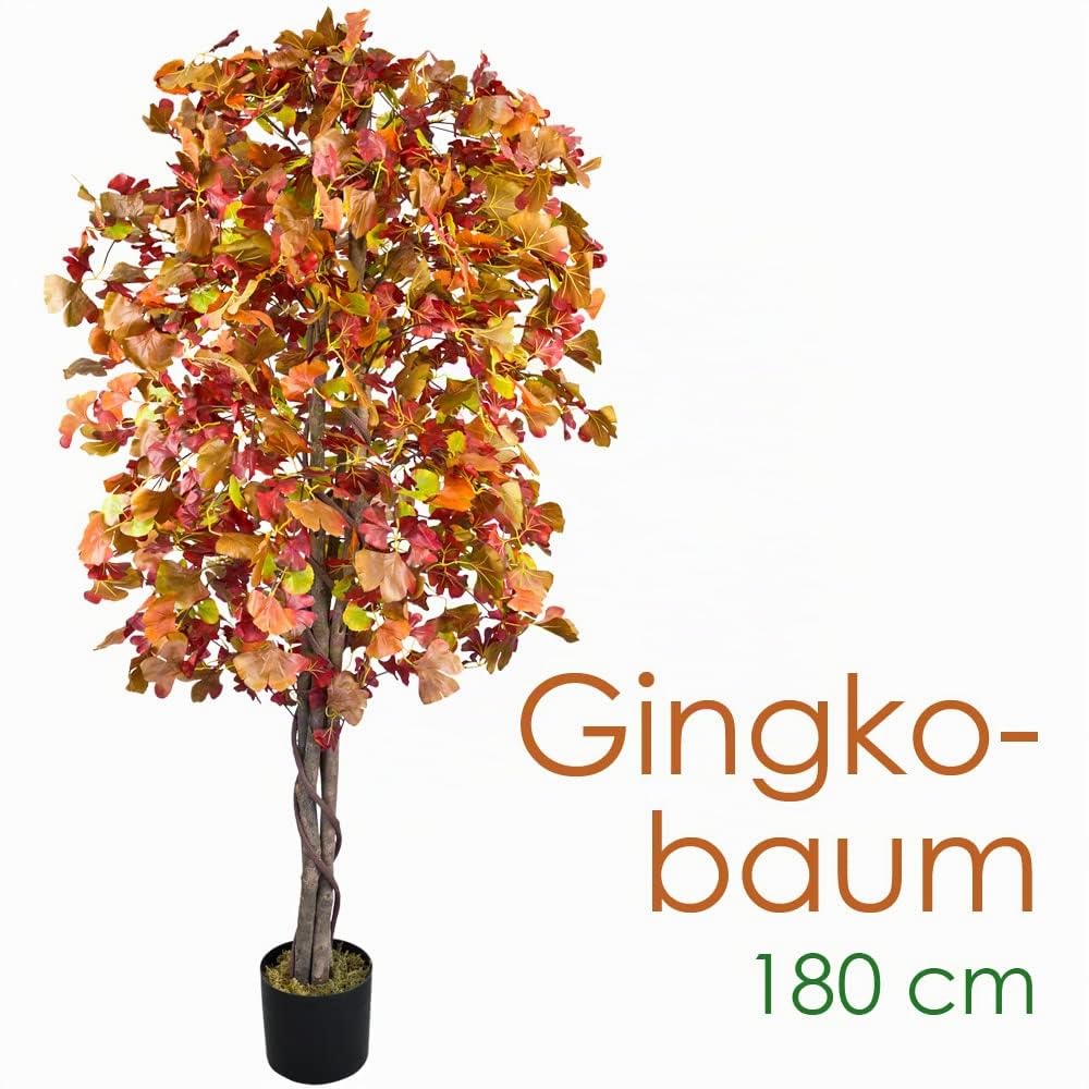 Decovego Ginkgo - Árbol de ginkgo artificial con madera real, 180 cm, decoración de interiores, planta de arte como real en maceta