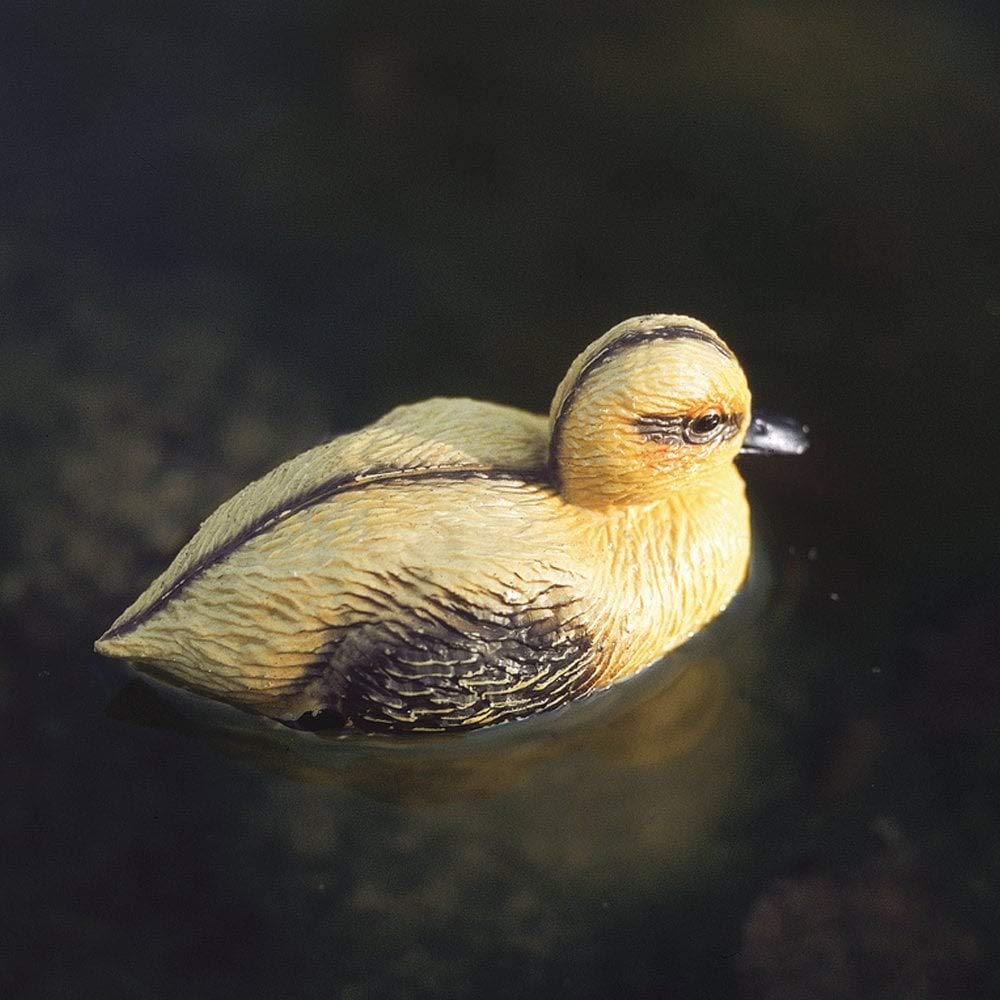 Oase 36863 Statue d'étang en forme de canard, Décoration de bassin