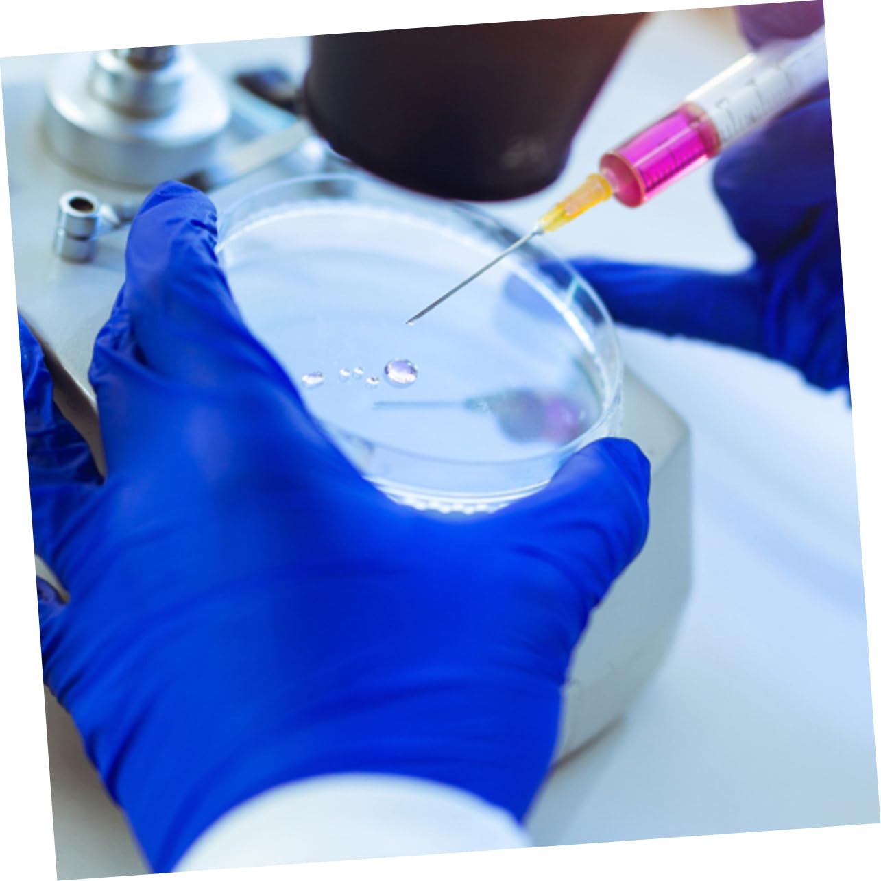 Gatuida 40 Piezas plato de cultivo placas de petri de laboratorio de reacción placas petri placas de petri redondas suministro de laboratorio de ciencias de cultivo de tejidos