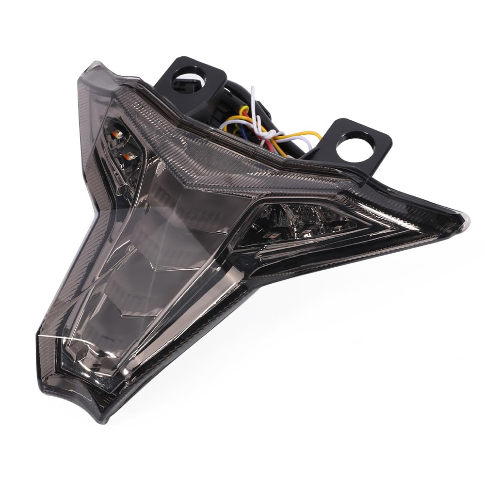 Amazon.com: anciloti Motorcycle Integrated Tail Light with Turn