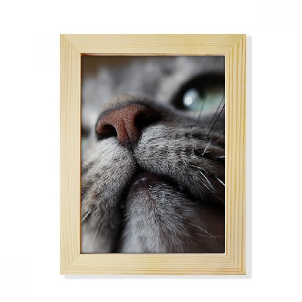 Marco de fotos de gato mirando hacia arriba para decorar el escritorio de casa