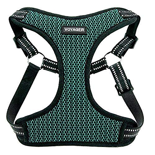 Voyager Step-in Flex Dog Harness - All Weather Mesh, Step in Adjustable Harness