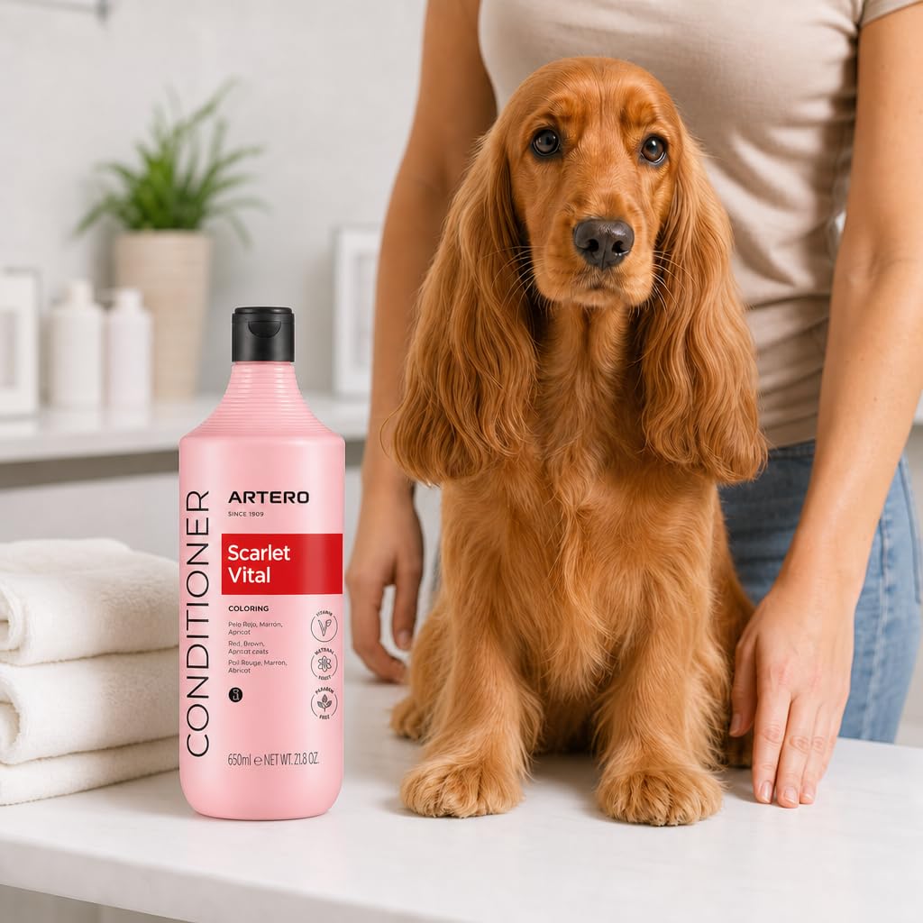 Artero Scarlet Vital Mascarilla Potenciadora de Color para Perros Rojos, Marrones, Chocolate y Apricot, 650 ml