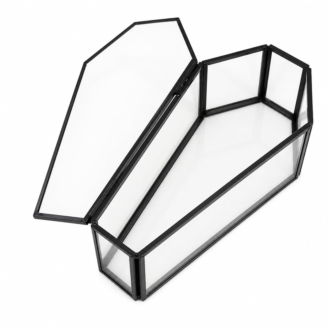Amazon.com: Glass Coffin Box with Lid, Gothic Jewelry Display Case