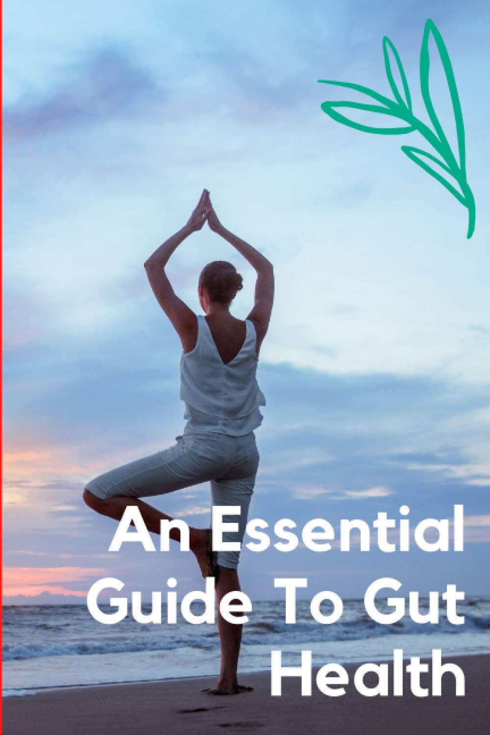 An Essential Guide to Gut Health: Our health in general is closely dependent on the health of our gut ecosystem