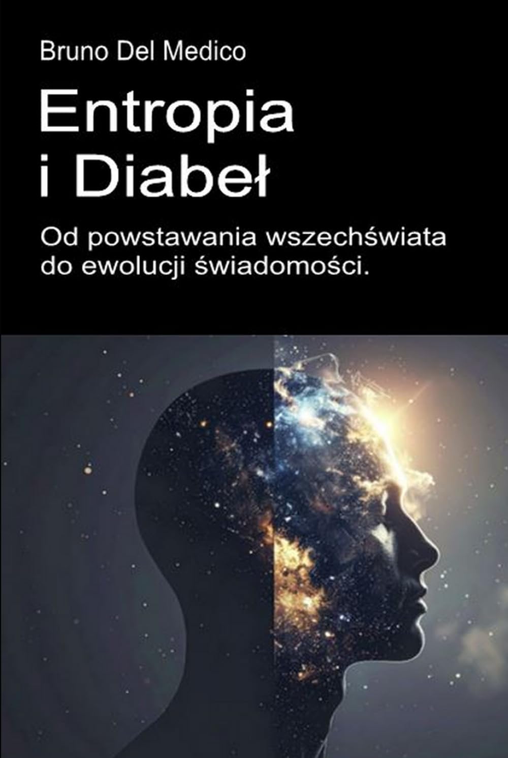 Entropia i diabeł. Od powstawania wszechświata do ewolucji świadomości.: Esej o twórczym chaosie wszechświata i człowieka. ((POL). Quantum Physics and Metaphysics. Polish-language editions.)
