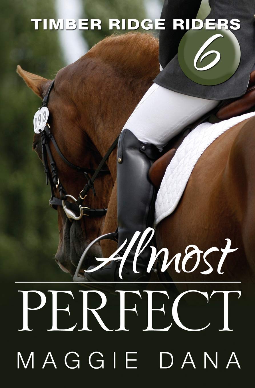 Almost Perfect: Volume 6 (Timber Ridge Riders)
