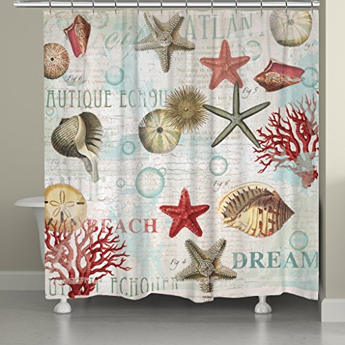 Laural Home Dream Beach Shells Shower Curtain, Multi