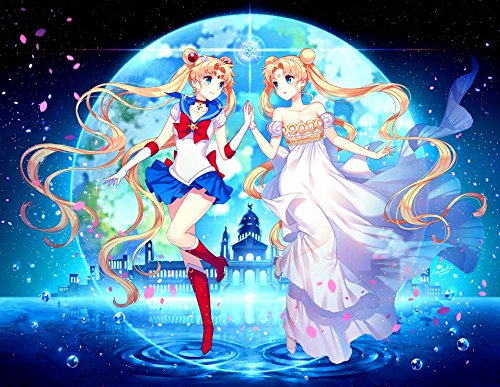 Bishoujo Senshi Sailor Moon Crystal Customized 18x14 inch Silk