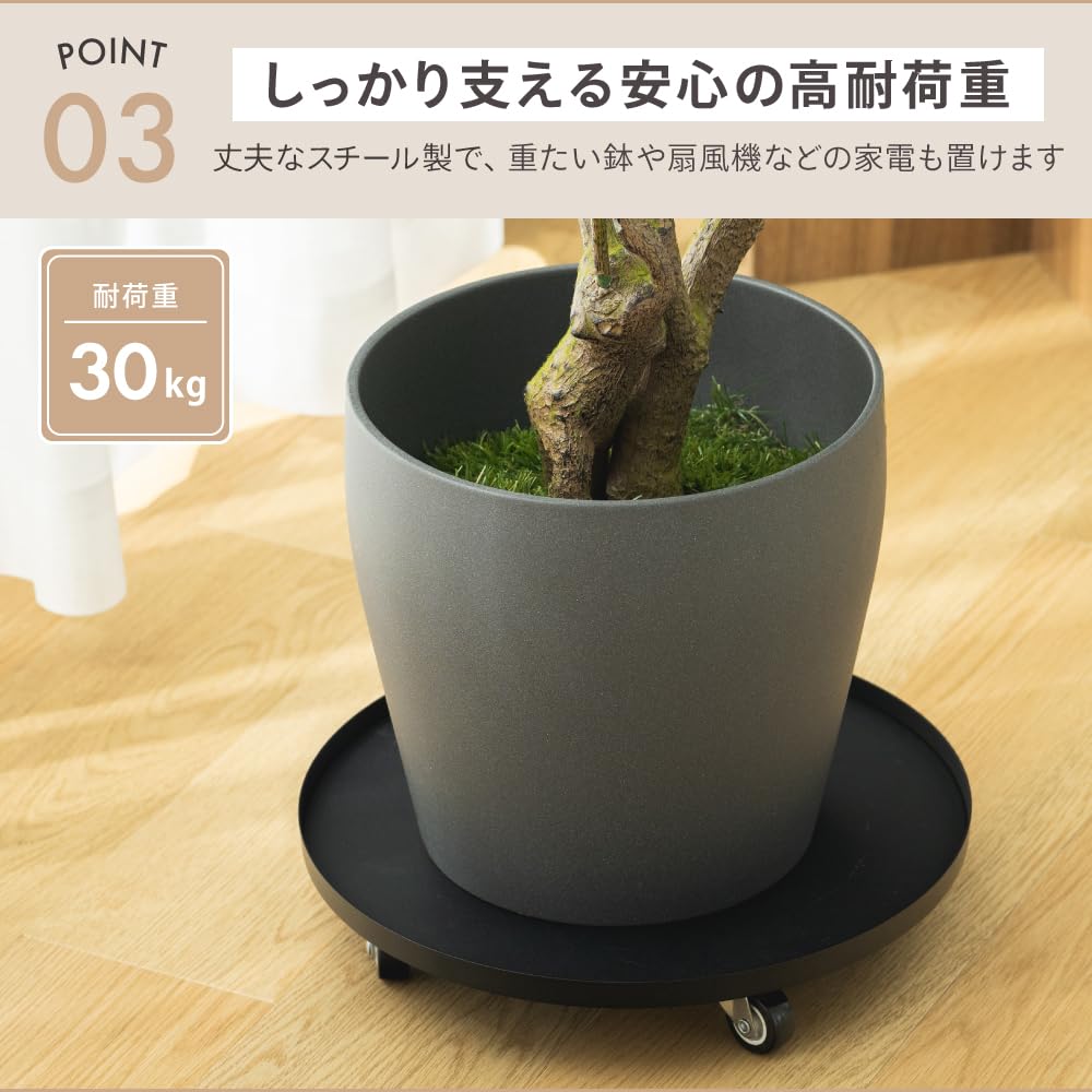 Amazon.co.jp: 武田コーポレーション: 温室/ガーデンラック