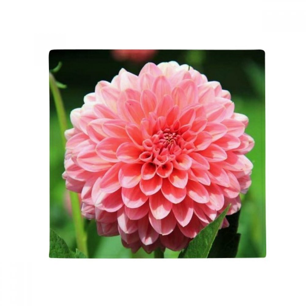 Peach blossom mat anti-slip magnifique cadeau multicolore pour décoration de maison