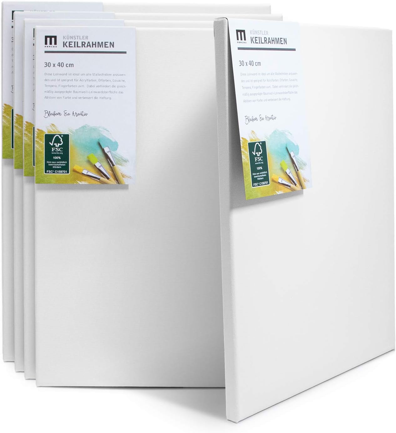 Artina Akademie Set of 12 Paintings FSC- Canvas Cloths in 30x40, 20x20, 20x30, 30x30, 40x60 cm - Muscle Frame for Painting Made of 100% Cotton 280 Artina Akademie Set of 12 Paintings FSC- Canvas Cloths in 30x40, 20x20, 20x30, 30x30, 40x60 cm - Muscle Frame for Painting Made of 100% Cotton 280