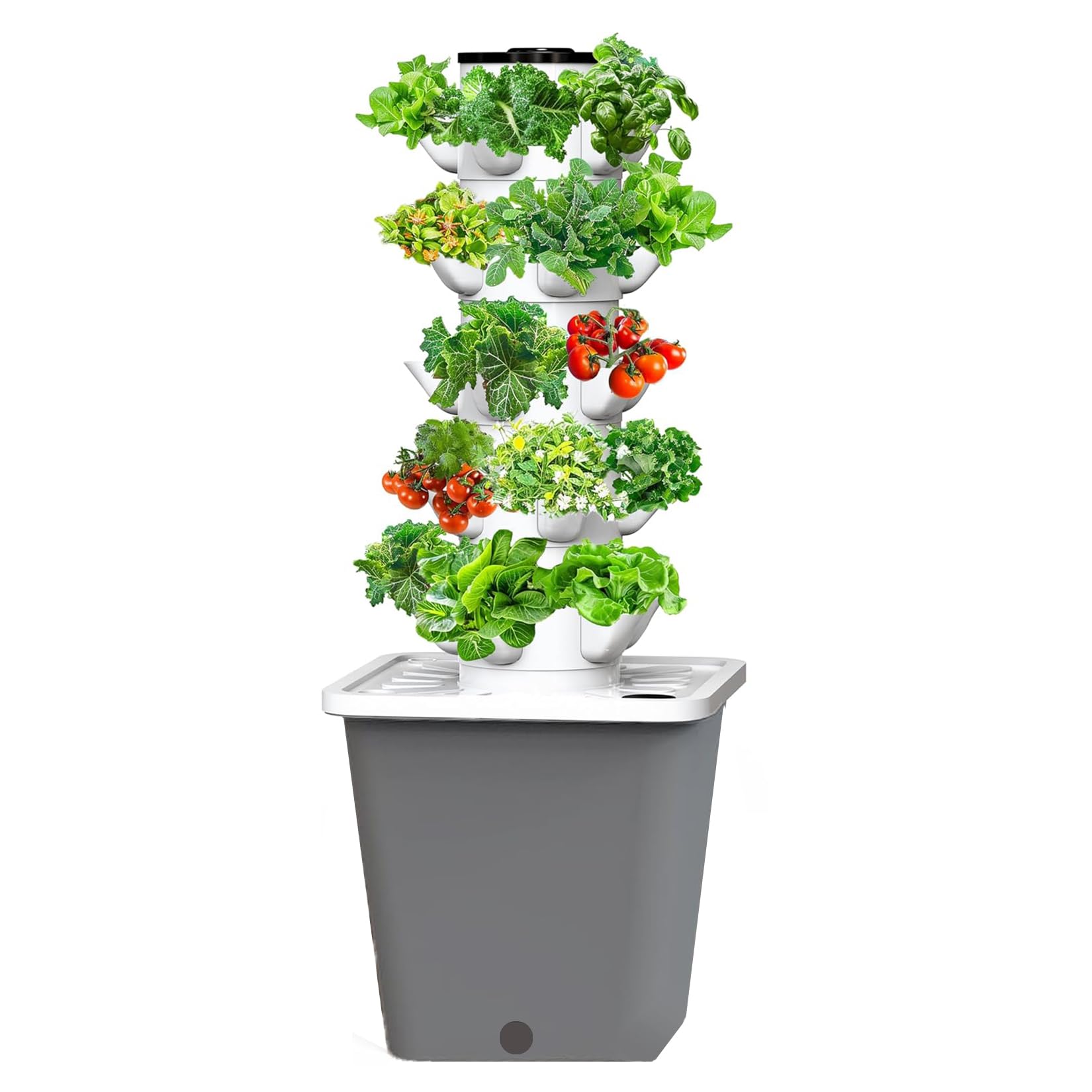 Amazon.co.jp: 縦型水耕栽培システム 30 植物 屋内スマートガーデン
