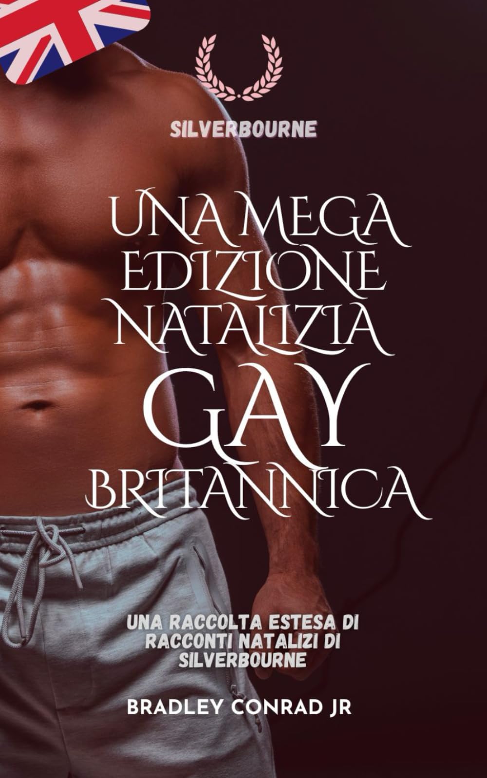 Silverbourne: una mega edizione natalizia gay britannica: Una raccolta estesa di racconti natalizi di Silverbourne (Silverbourne: Romance Gay Britannico Autentico a Lenta Combustione)