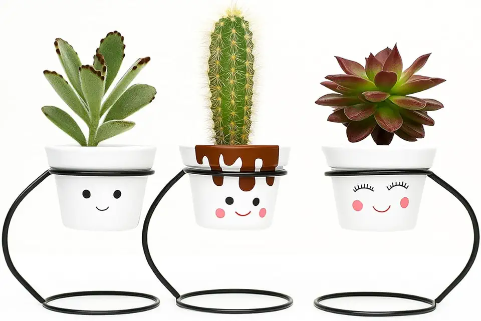Kit 3 Vasos com Carinhas para Plantas – Acompanha Suporte de Metal para Decoração Criativa