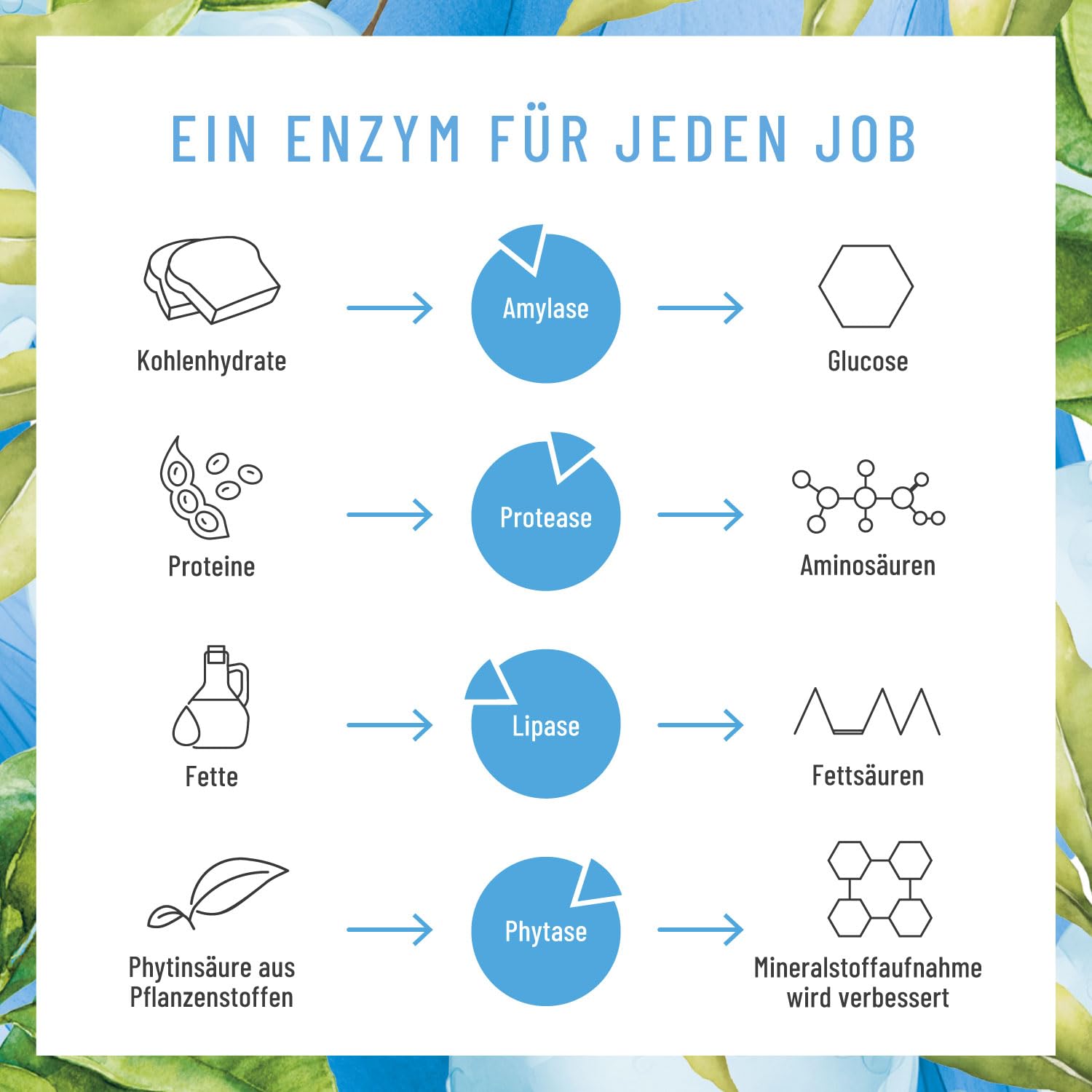 NATURTREU® Verdauungsenzyme (Digestive Enzyme) - Enzymhelden: Enzym Komplex mit Protease, α-Amylase & Lipase - 120 vegane Kapseln - in Deutschland produziert & laborgeprüft