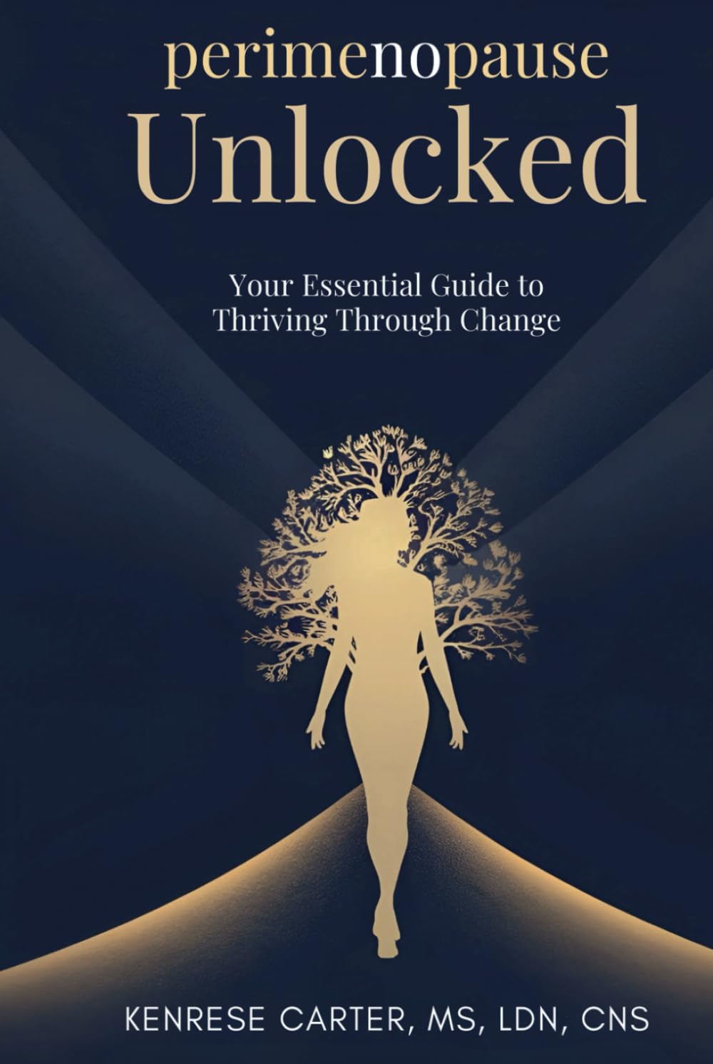 perimenopause Unlocked: Your Essential Guide to Thriving Through Change