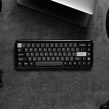 toyogonページ MelGeek Mojo68 プラスチック シースルー、カスタム