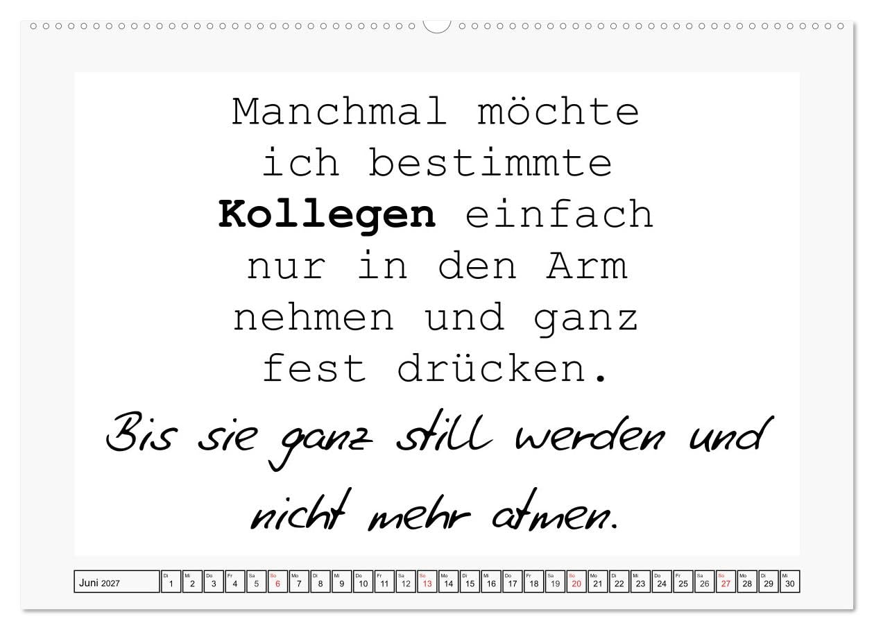 CALVENDO - Typo-Kalender für das Büro. Sarkasmus und fiese Sprüche (Wandkalender 2027 DIN A2 quer), Monatskalender: Trendiger Sprüchekalender für den Arbeitsplatz