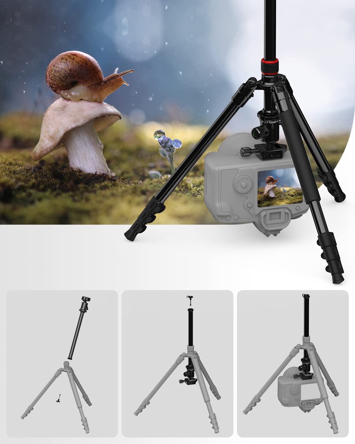 Eienn カメラ三脚 一脚可変式 全高1680mm 脚径26mm 4段 Amazon | Eienn 三脚 一脚可変式 2段・4段 3Way雲台 水準器付き
