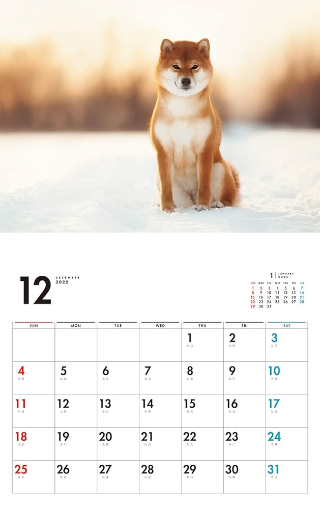 I・LOVEしば vol.2 (あなたのしば、ここにいます。) I・LOVEしば vol.2 (あなたのしば、ここにいます。) Amazon.co.