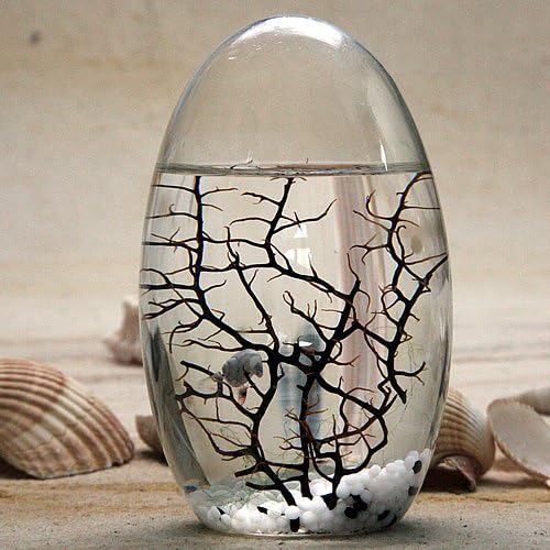 EcoSphere Egg Small White