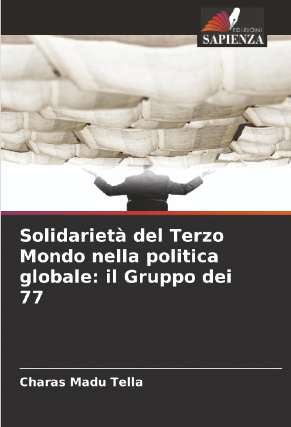 Solidarietà del Terzo Mondo nella politica globale: il Gruppo dei 77