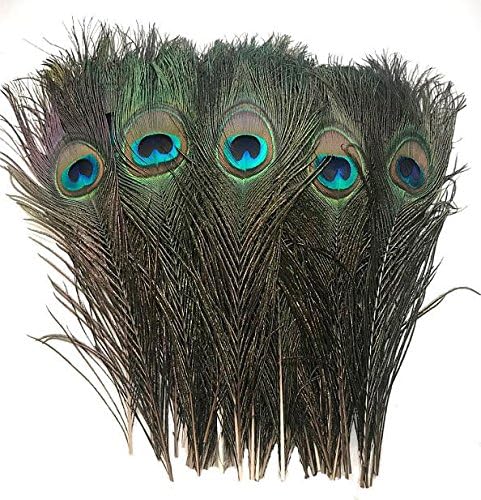 American Feathers Peacock Eye Feathers (Natural 10-12", per 100)