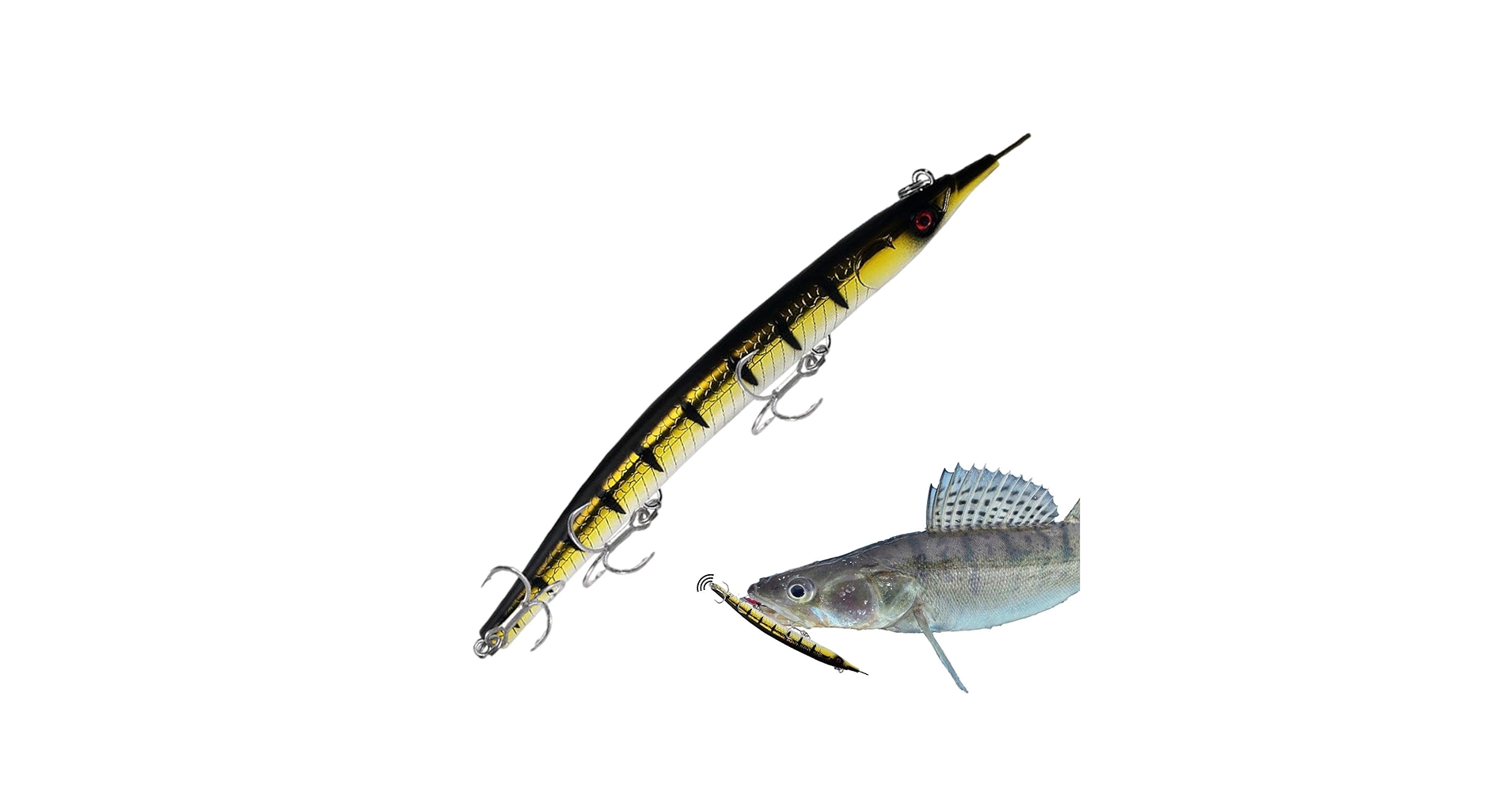 61EbykXgjGL.jpg_BO30,255,255, 61EbykXgjGL.jpg_BO30,255,255,