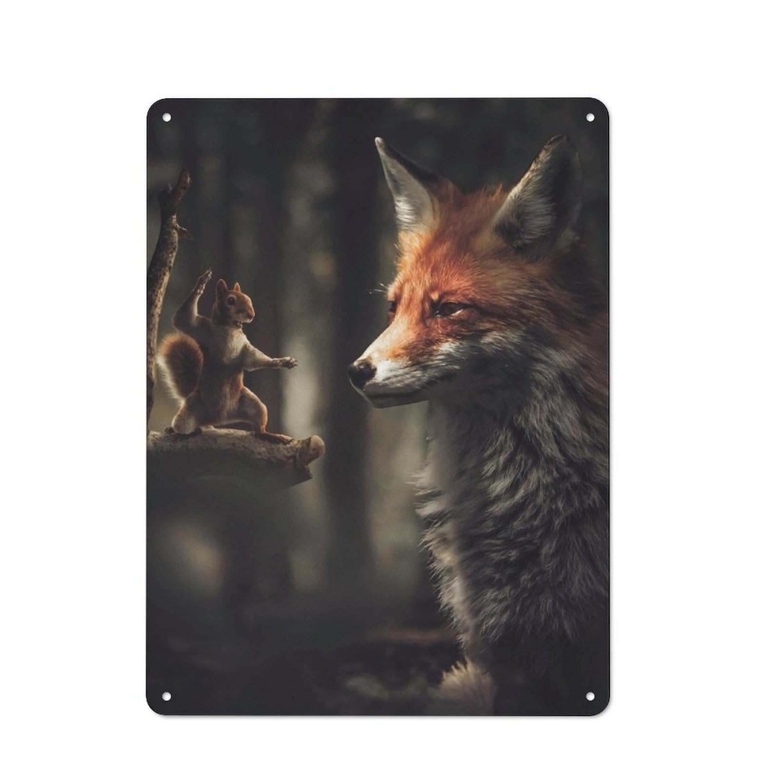 Junmoney Kung Fu Squirrel Rustic Metal Sign 40X30cm For Man Cave Or Games Room, For Vintage Wall Decor Fans, For Garage And Workshop Walls