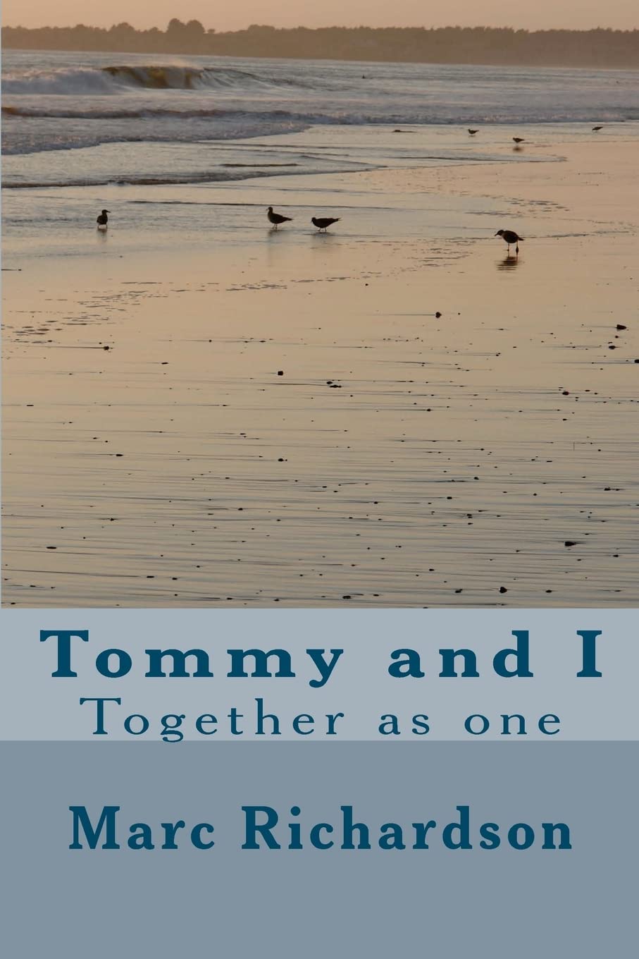 Tommy and I: Volume 1.by Richardson  New 9781479337743 Fast Free Shipping<|
