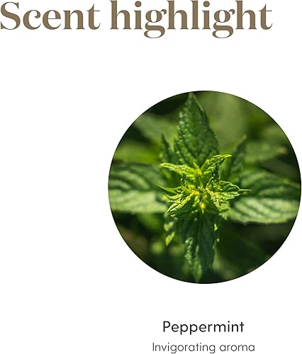 Vista 170 de Aceite esencial de franquincienso, 0.17 onzas líquidas, de Young Living Essential Oils