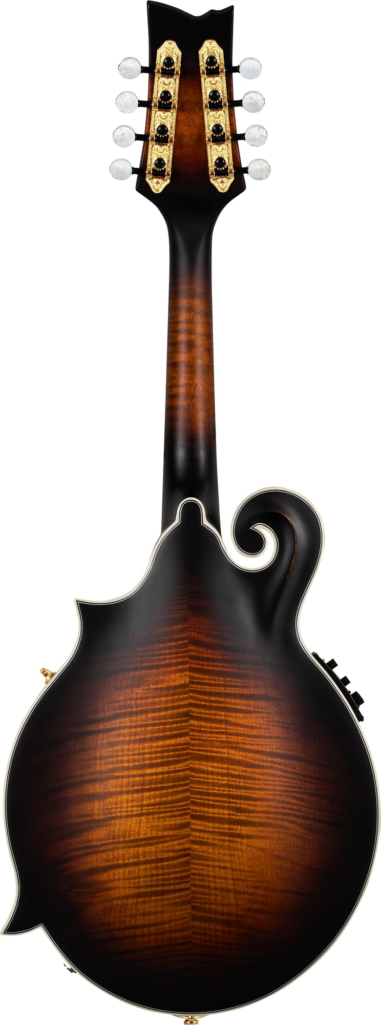 Ortega Guitars F-Style Mandoline Elektro-Akustisch – F-Holes – Mandolins – Inklusive Gig Bag – Massive Fichte / Geflammter Ahorn, Mehrfarbig (RMFE100AVO)