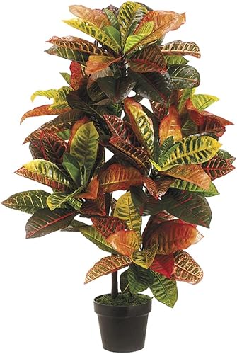 Planta Croton EVA de 36 pulgadas en maceta de plástico negro, verde y rosa (paquete de 2)