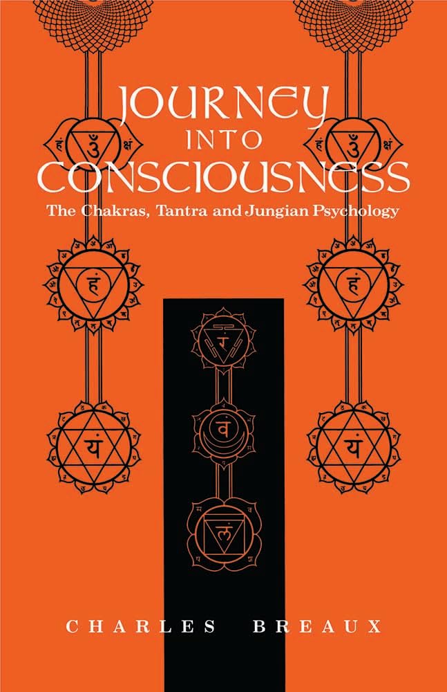 Journey into Consciousness