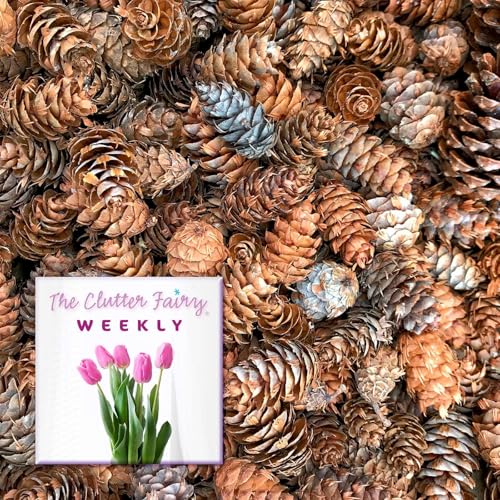 『A Houseful of Limitless Potential: Clutter and the Creative Mind - The Clutter Fairy Weekly #270』のカバーアート