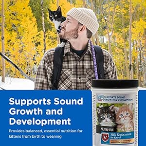 Nutri-Vet Milk Replacement for Kittens + Lixit Nursing Bottle Kit