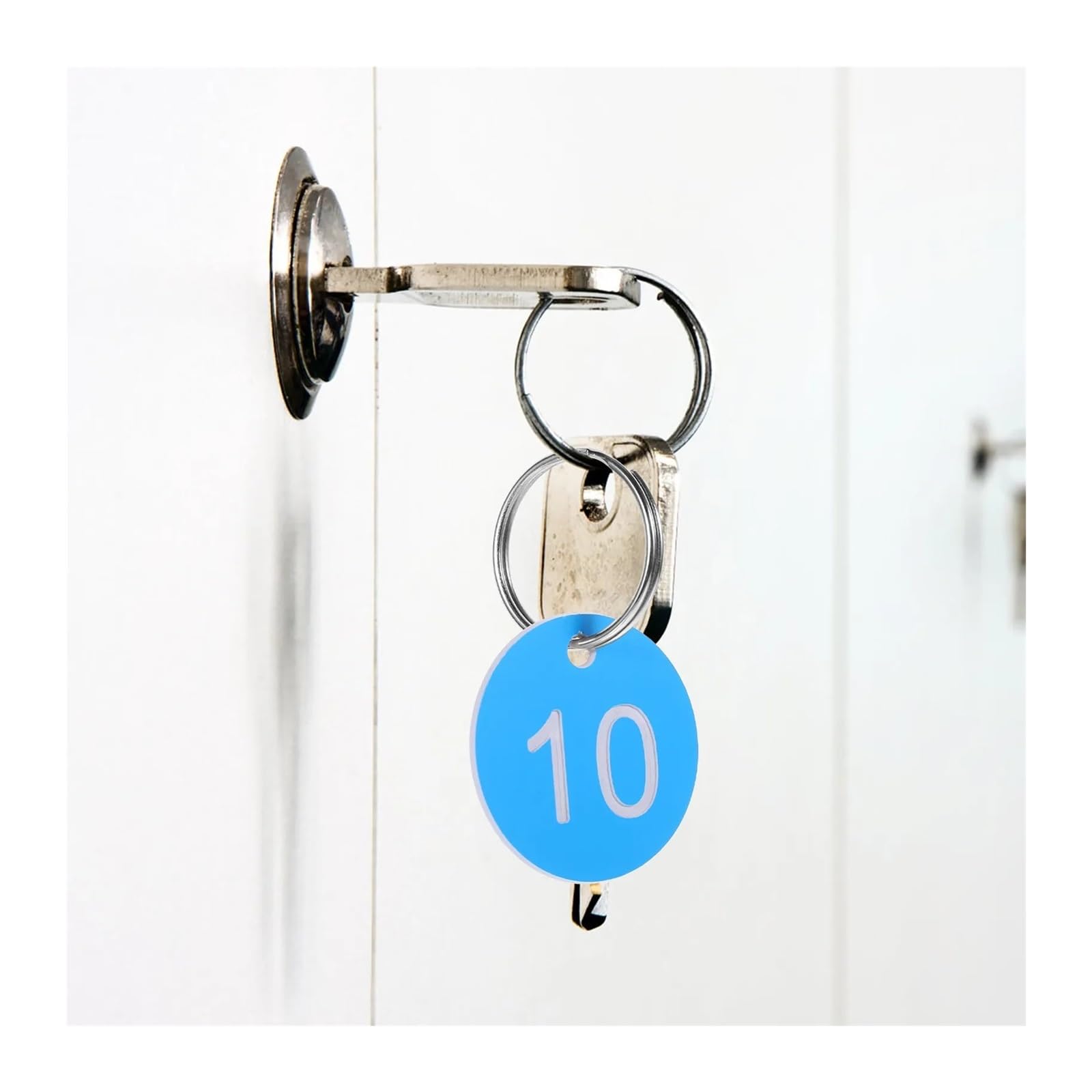 100 etichette numeriche in plastica con foro, professionali, rotonde, per piante domestiche, fattoria, apicoltura, per hotel, cassette postali, palestra, scuola, 100 pezzi