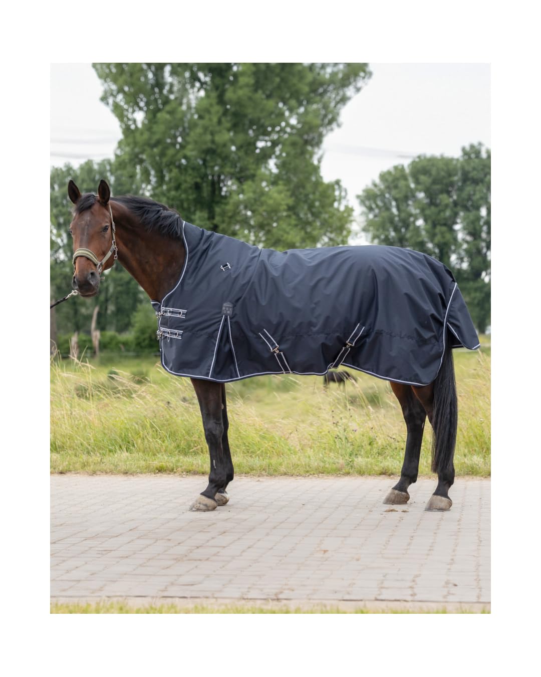 4Horses Outdoordecke Highneck Kalmar 50g für Pferde, wasserdichte Regendecke mit 50g Füllung, atmungsaktiv und Winddicht