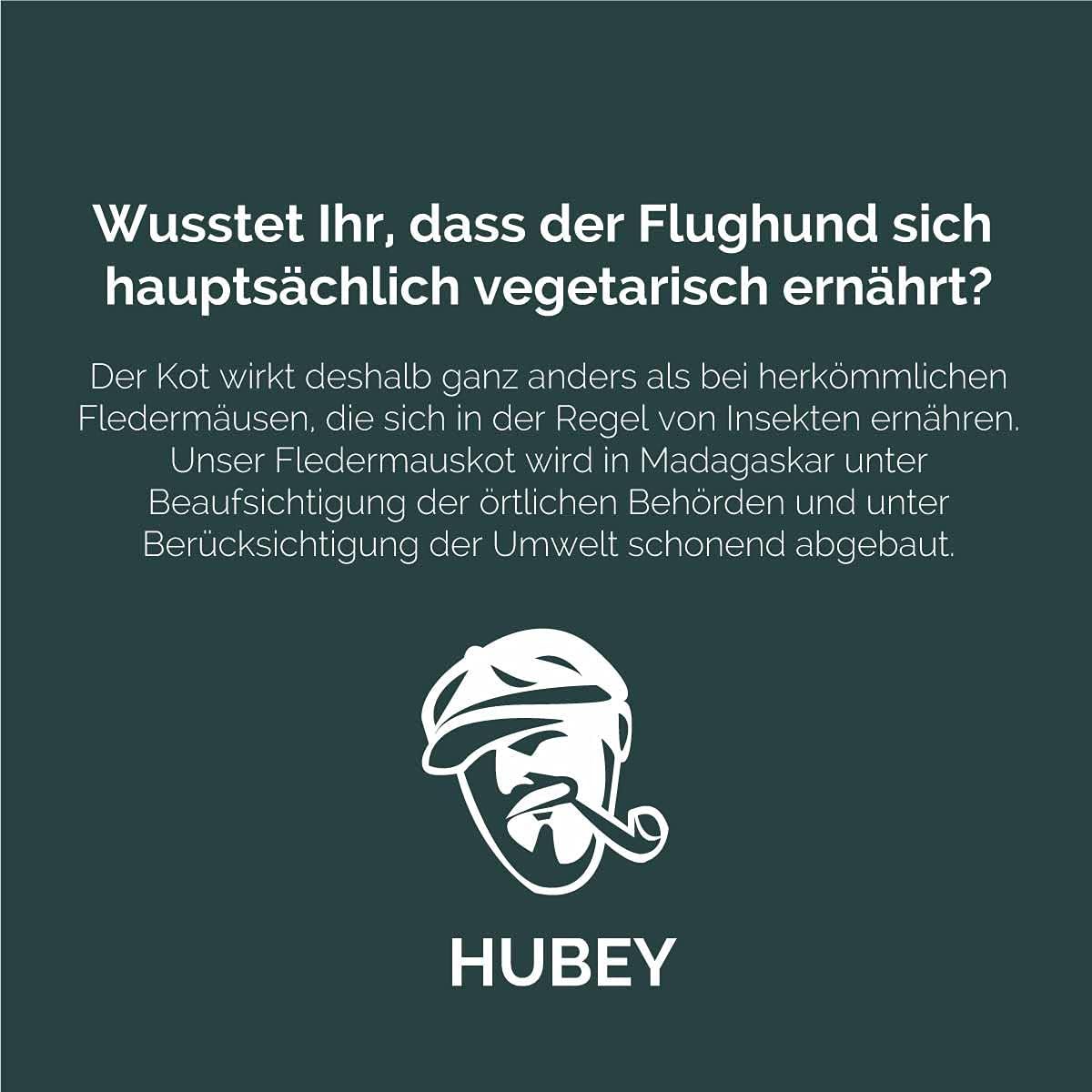 HUBEY Bat Guano Fledermausdünger 1 kg – 100% natürlicher Guano Dünger vom Flughund | Bio Blühdünger mit hohem Phosphorgehalt (NPK 1-20-1) | für Tomaten, Gemüse, Obst, Blumen & Zimmerpflanzen