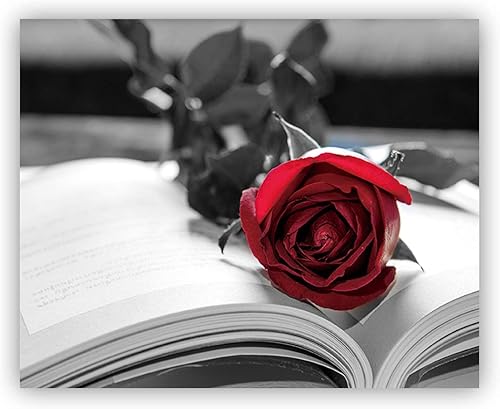 Miniatura 6 de Juego de 3 pinturas artísticas de pared con rosas rojas y negras en blanco y negro (imagen en lienzo de 8 x 10 pulgadas) arte abstracto para pared,