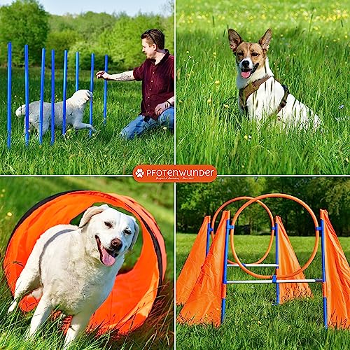 PfotenWunder® XXL-Profi-Agility Set Hunde Groß + 3 Meter-Tunnel + 21 Min. HUNDESCHULE -6 Slalomstangen, für kleine & große Hunde-Training Sport Cavaletti Parcour Steckhürdenset Zubehör Hürden