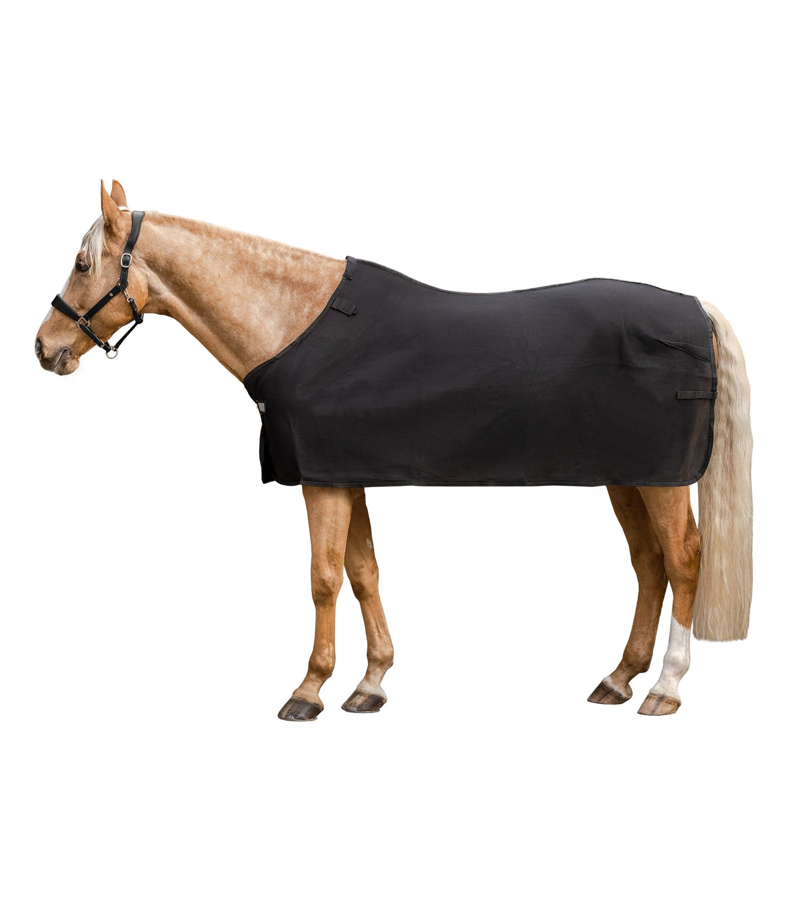 Waldhausen Air Mesh Unterdecke, schwarz, 155 cm